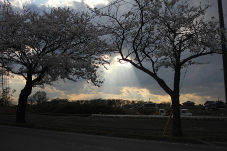 農村の風景