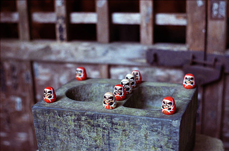 ダルマさんが並んだ(minolta SRT101)