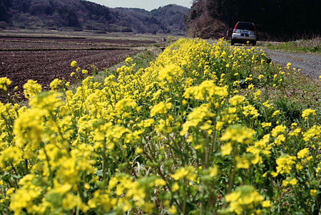 Image0503(Canon AE-1)