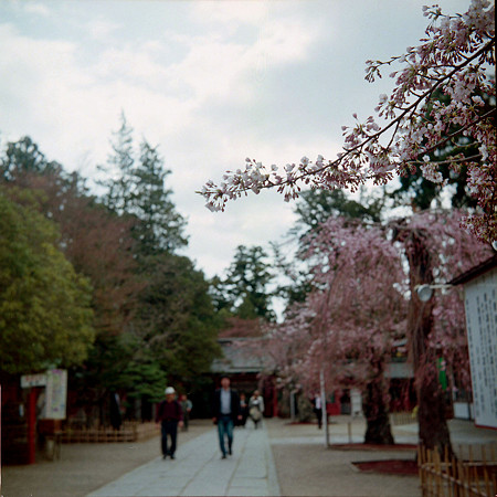 Image0130（RICOHFLEX VII）