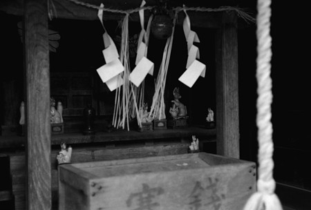 Image1412（MAMIYA 35S）
