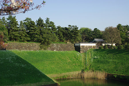 IMGP3123