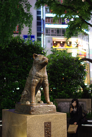 IMGP4564