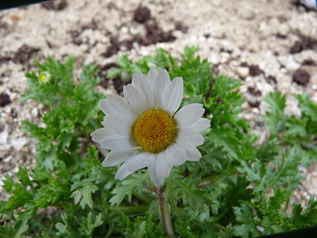 P1000062
