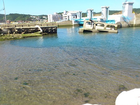 志津川