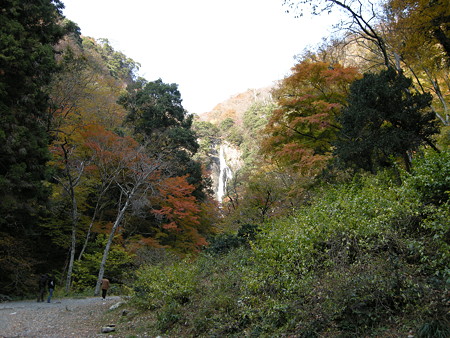 DSCN0161