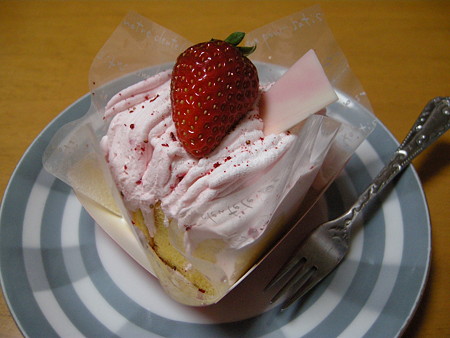 DSCN0419