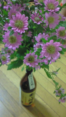 hana2