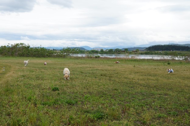 河川敷