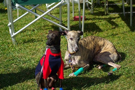 IMGP6535_1024