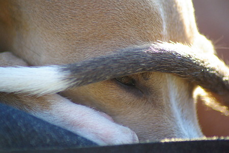 1024-IMGP6199