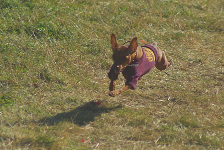 IMGP2512A
