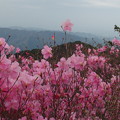 Photos: P4220645