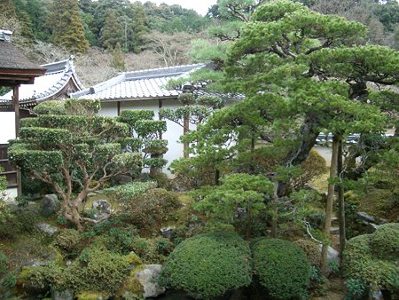 初詣2009 023