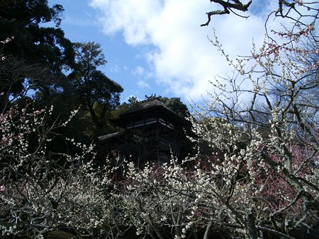 石山寺 043