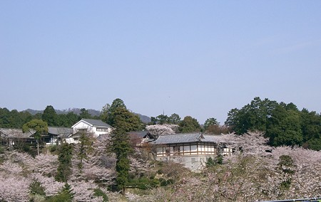 学芸館遠景