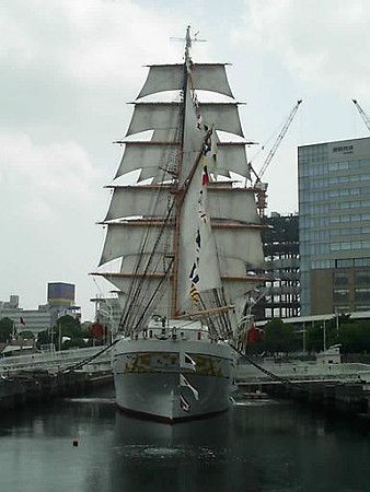 日本丸 後ろから (2)