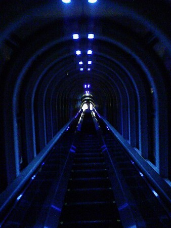 080829-空中庭園 (4)