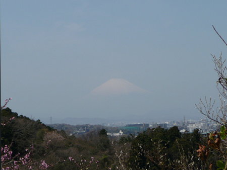 090403-鎌倉 富士山