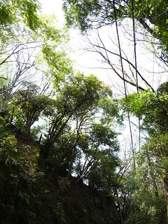 090403-鎌倉 通学路 (13)