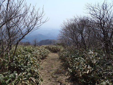 14042634