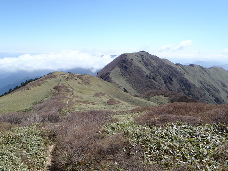 P5230082