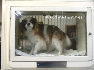 071229-9.jpg