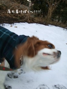 080123-3