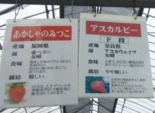080426-12