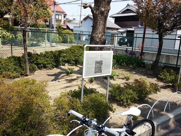 若江城址