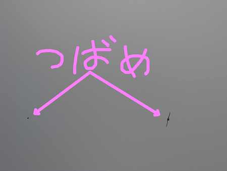 つばめ2