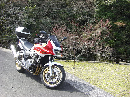 MY田んぼ