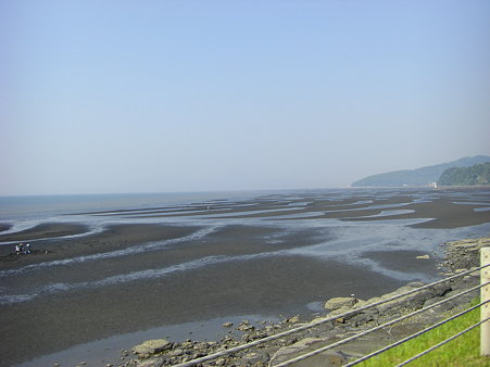 綺麗な模様だ