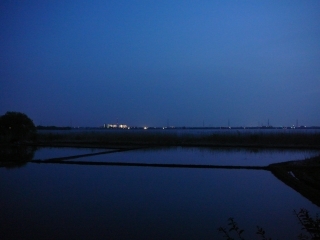 沼