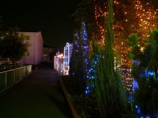 イルミ1