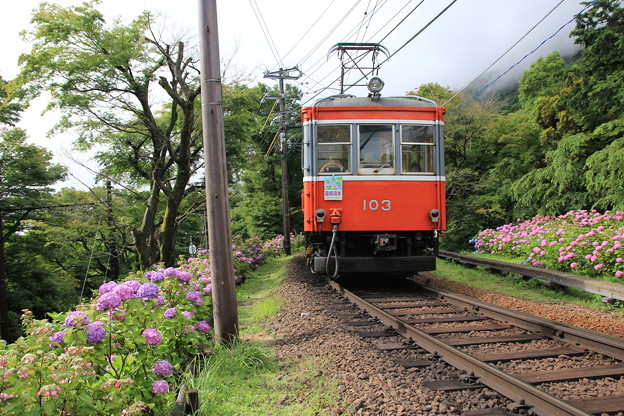 07