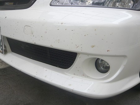 洗車