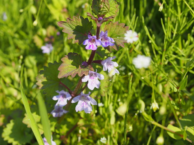 20140510_76