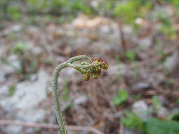 20140510_110