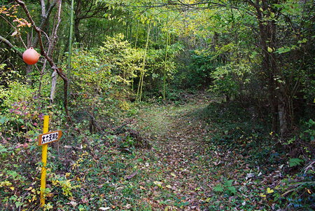 IMGP0576