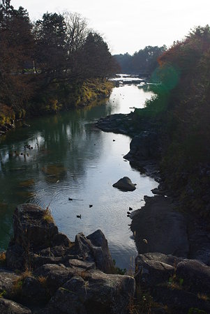 IMGP0762