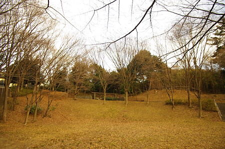 IMGP1717
