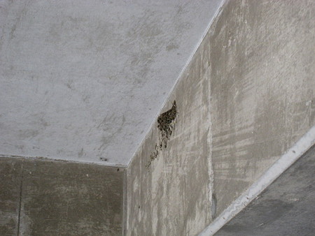 20080521