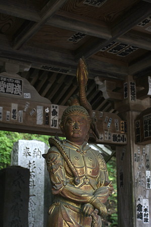 2009.05.10　高尾山　高尾山薬王院