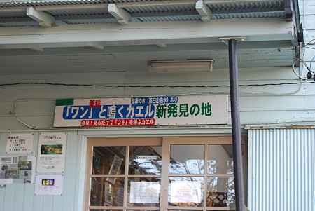 カエル