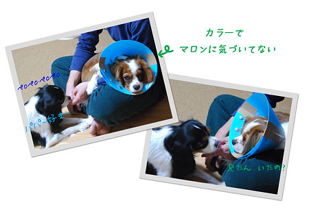 ボクも・・・