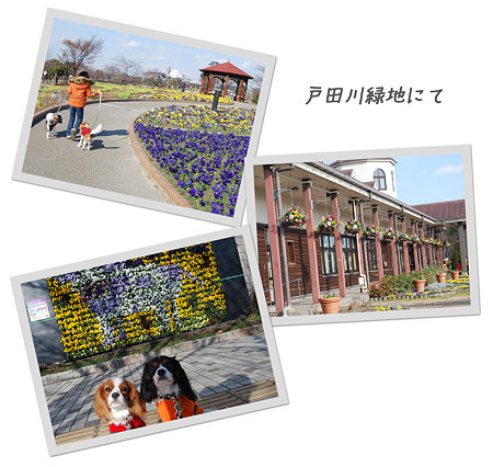 戸田川