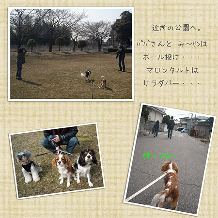公園