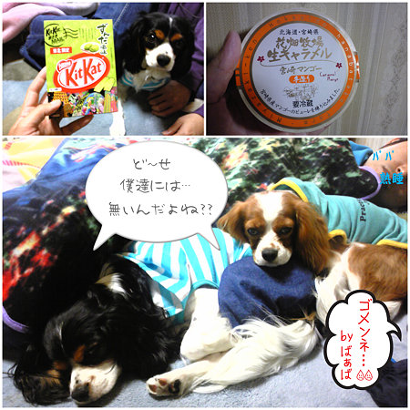 お土産♪
