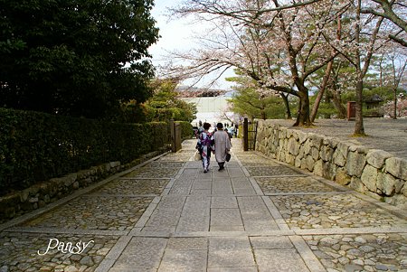 京都 桜さんぽ~6